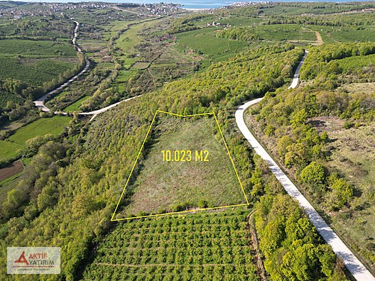 BAĞIRGANLI'DA VADİ MANZARALI BÜYÜK ORMANA CEPHELİ 10 DÖNÜM TARLA - KOCAELİ KANDIRA fotoğraf 15